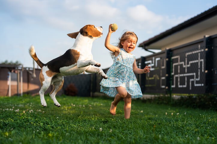 Little girl playing in the grass with a dog