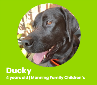 Ducky