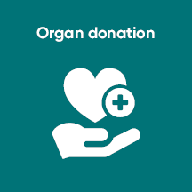 Gain inner peace and self-reflection