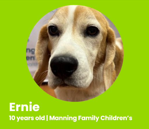 Ernie