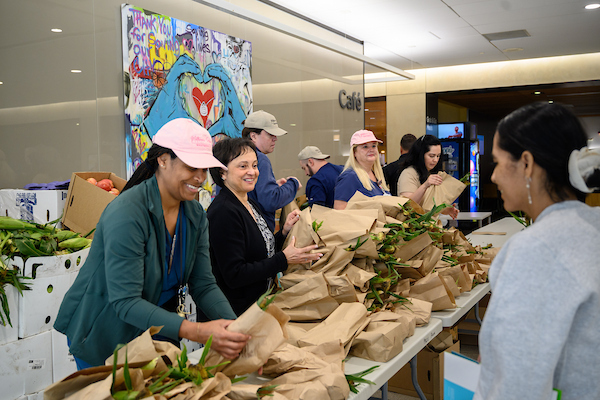 Volunteers handing out groceries at a UMC community food giveaway