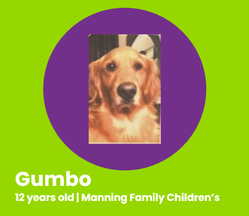Gumbo