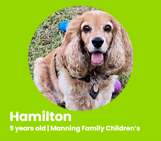 Hamilton