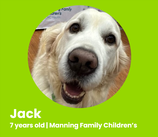 Jack CHNOLA