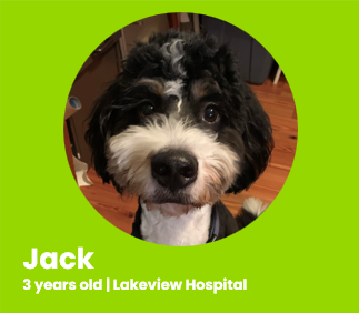 Jack LV