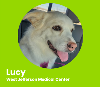 Lucy