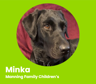 Minka