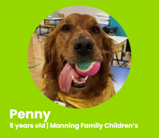 Penny