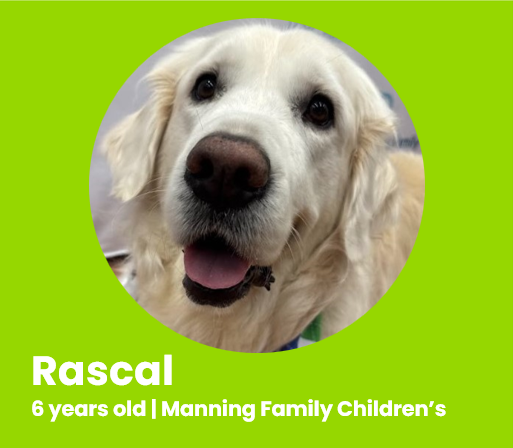 Rascal