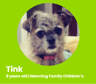 Tink