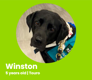 Winston
