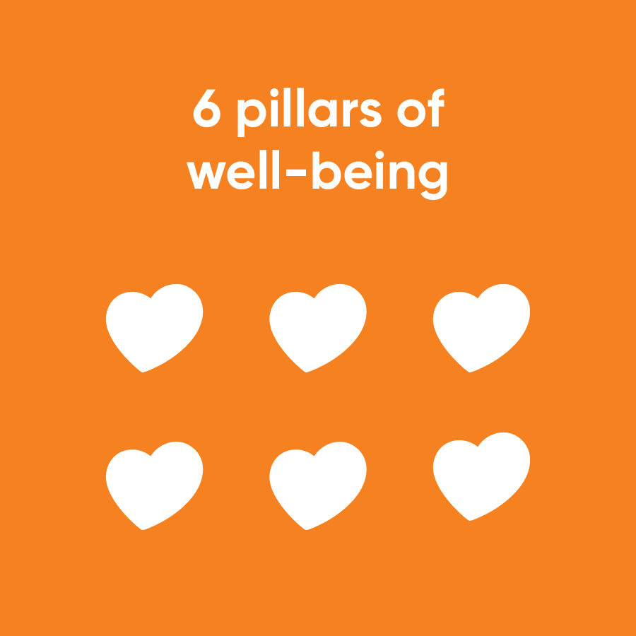 6 pillars of wellpbeing