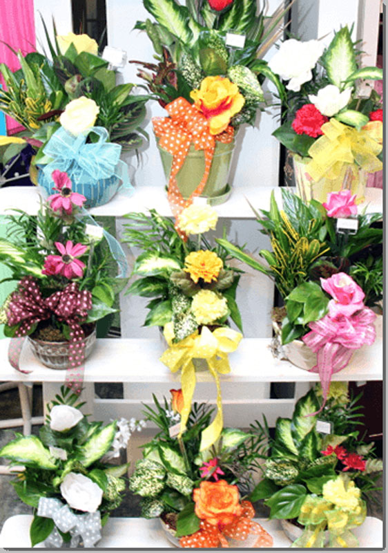 wjmc-gift-shop-items-lcmc-health