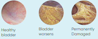 urology