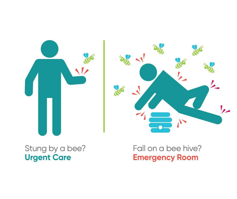 illustration of a person with a bee sting next to the person who has fallen on a beehive