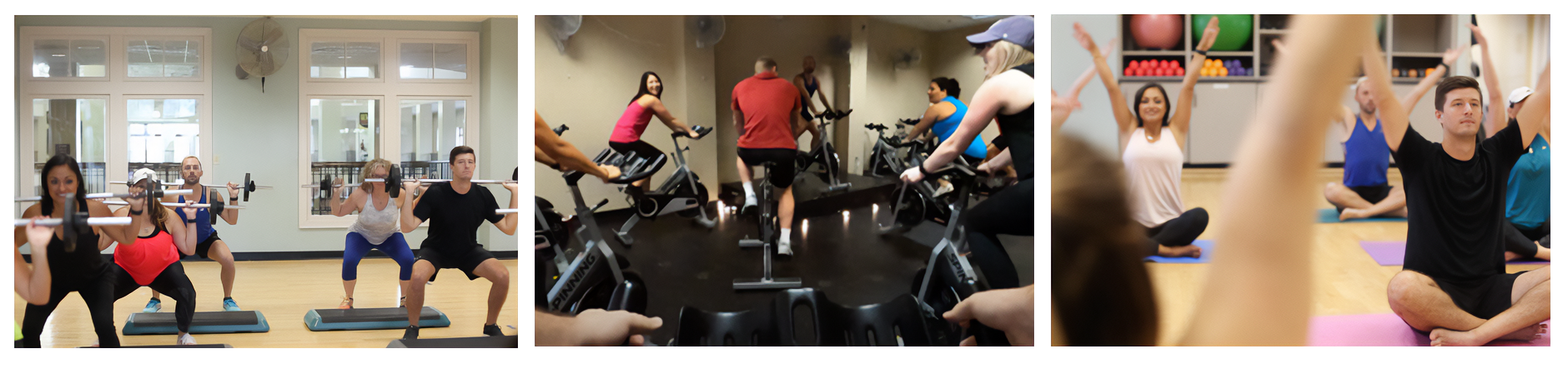 Wellness center fitness programs