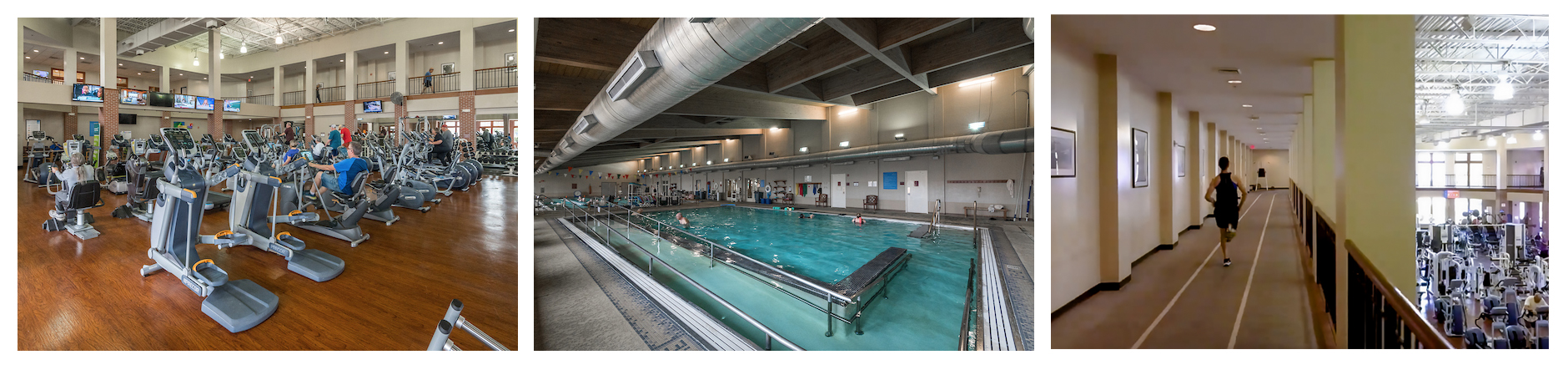 Wellness center exercise equipment