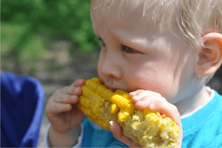 kid eating corn