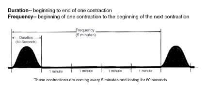 West Jeff Family Birth Place Contractions