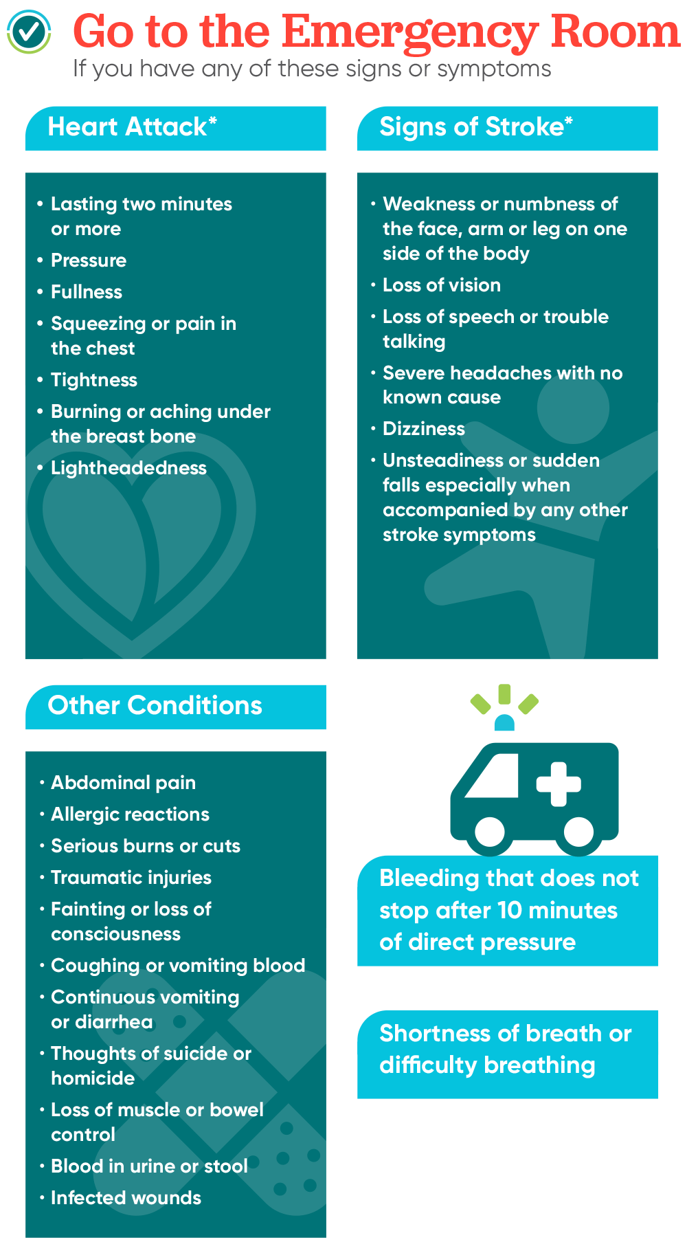 Emergency Room Infographic