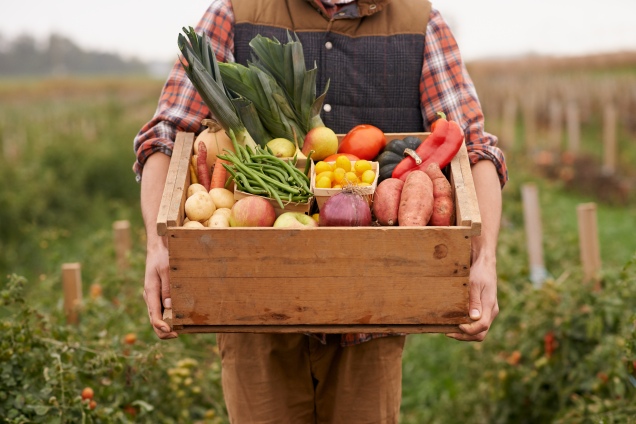 Vegetables