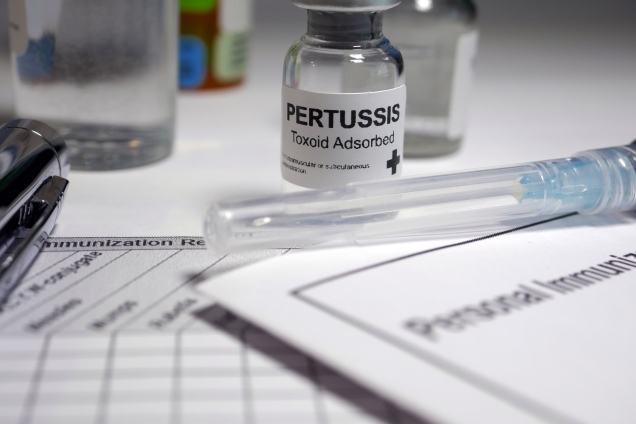 Pertussis