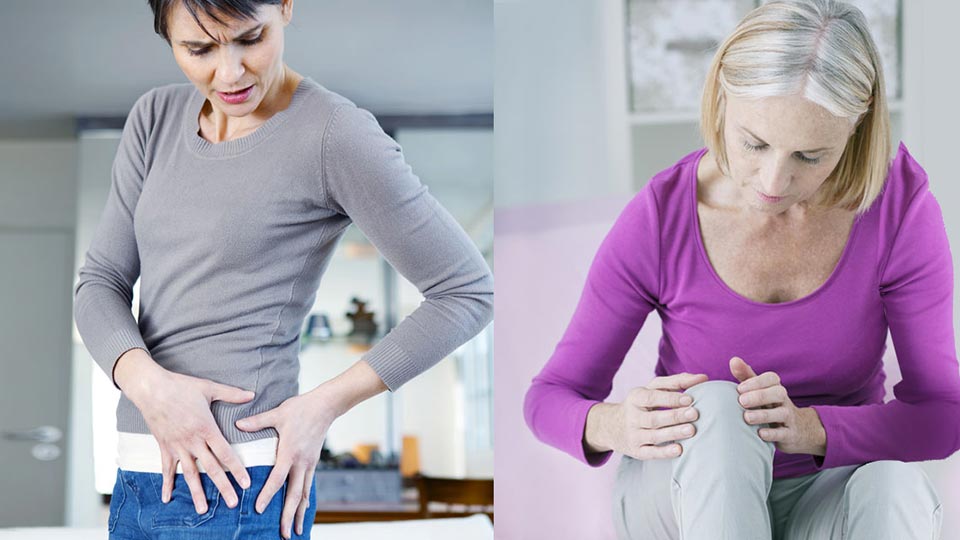 Facts about knee or hip joint replacements