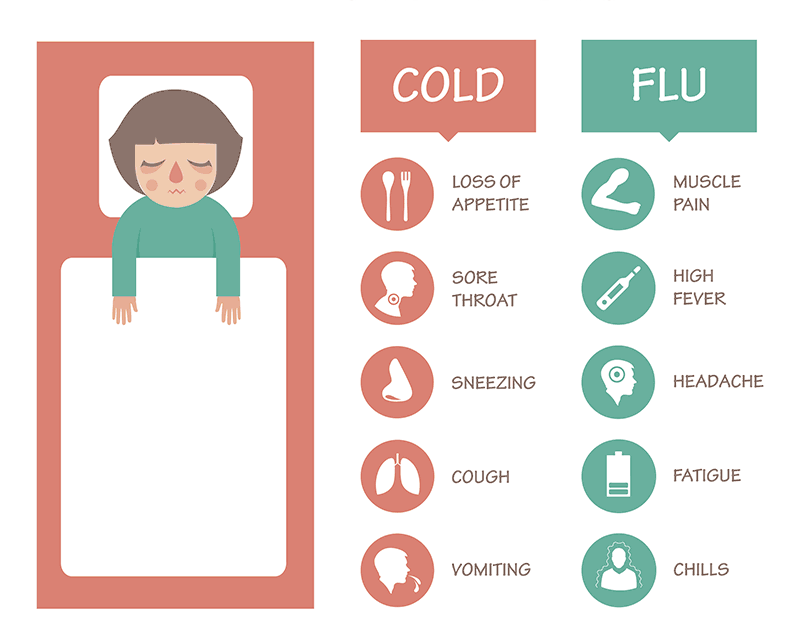 Cold or Flu Infographic